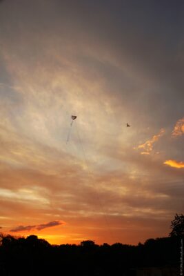 2022 06 15(71)