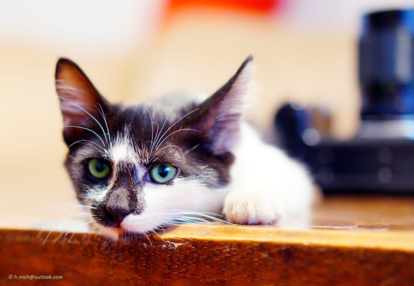 Studio-One.Art.br Repo Fotografia em Rio Preto SP/Brasil