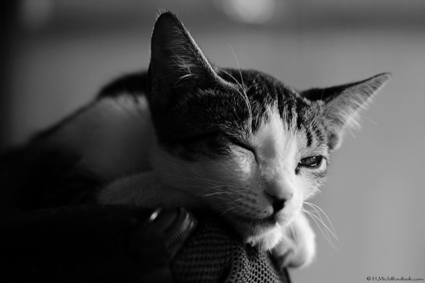 Studio-One.Art.br Repo Fotografia em Rio Preto SP/Brasil