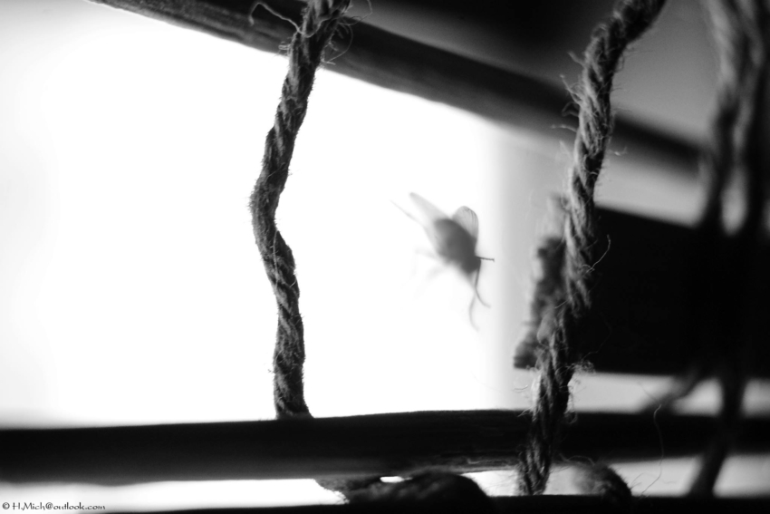 Studio-One.Art.br Repo Fotografia em Rio Preto SP/Brasil