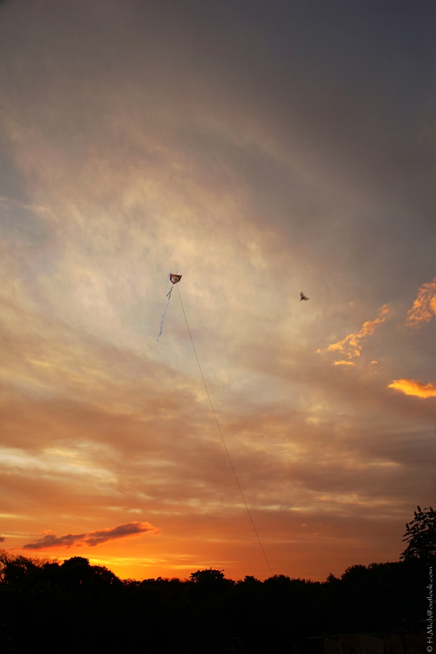 Studio-One.Art.br Repo Fotografia em Rio Preto SP/Brasil