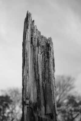 2022 06 15(72)