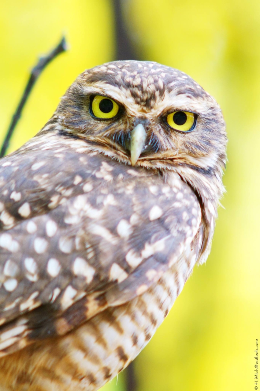 Studio-One.Art.br Repo Fotografia em Rio Preto SP/Brasil