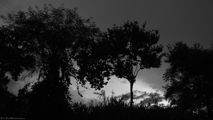 Studio-One.Art.br Repo Fotografia em Rio Preto SP/Brasil