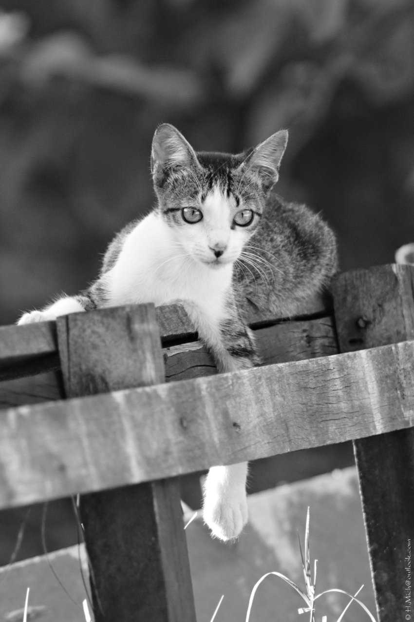 Studio-One.Art.br Repo Fotografia em Rio Preto SP/Brasil