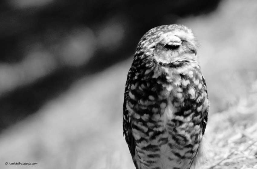 Studio-One.Art.br Repo Fotografia em Rio Preto SP/Brasil