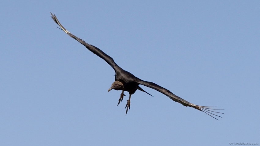 Studio-One.Art.br Repo Fotografia em Rio Preto SP/Brasil