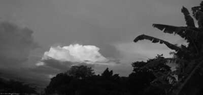 2022 06 15(73)