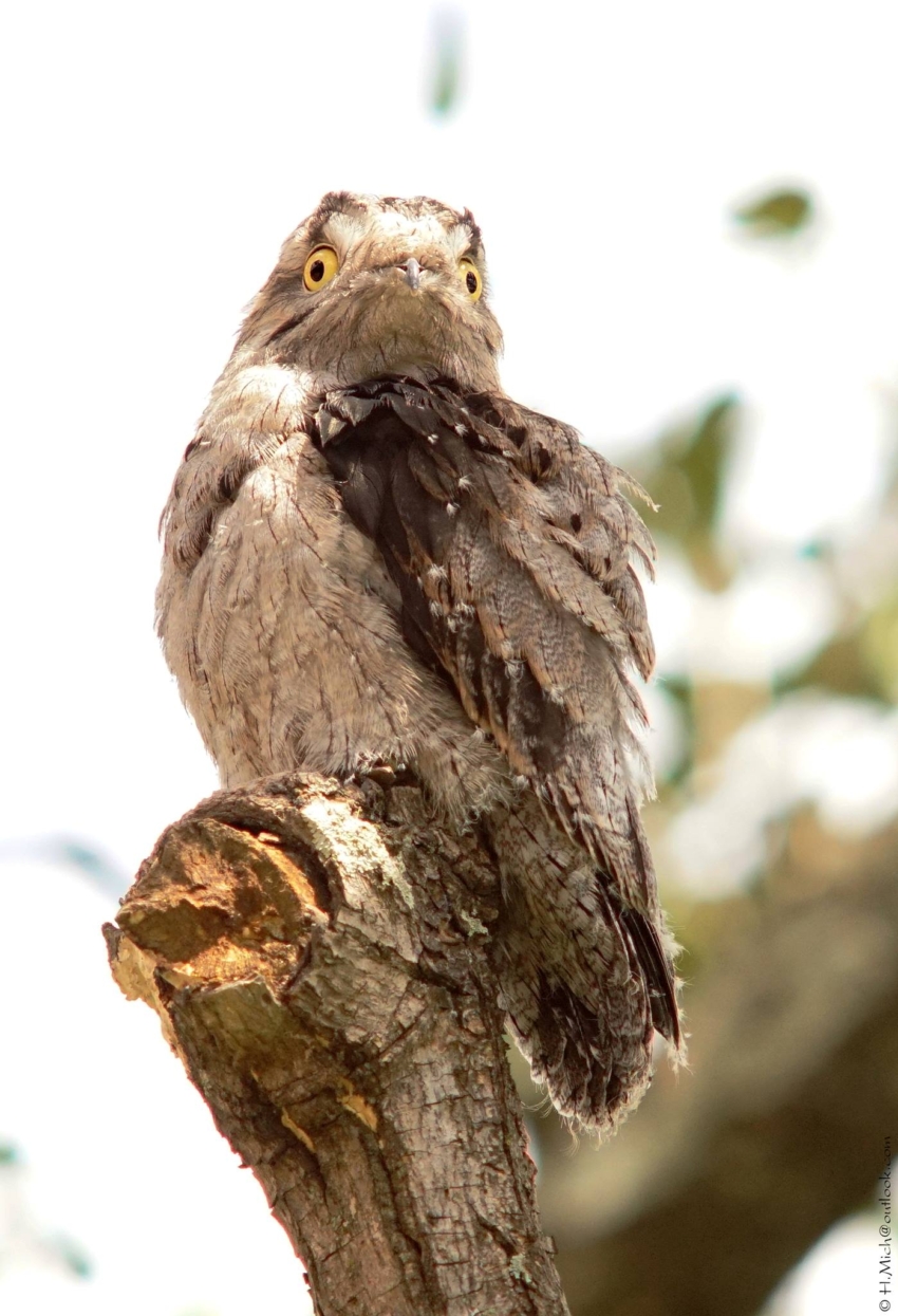 Studio-One.Art.br Repo Fotografia em Rio Preto SP/Brasil