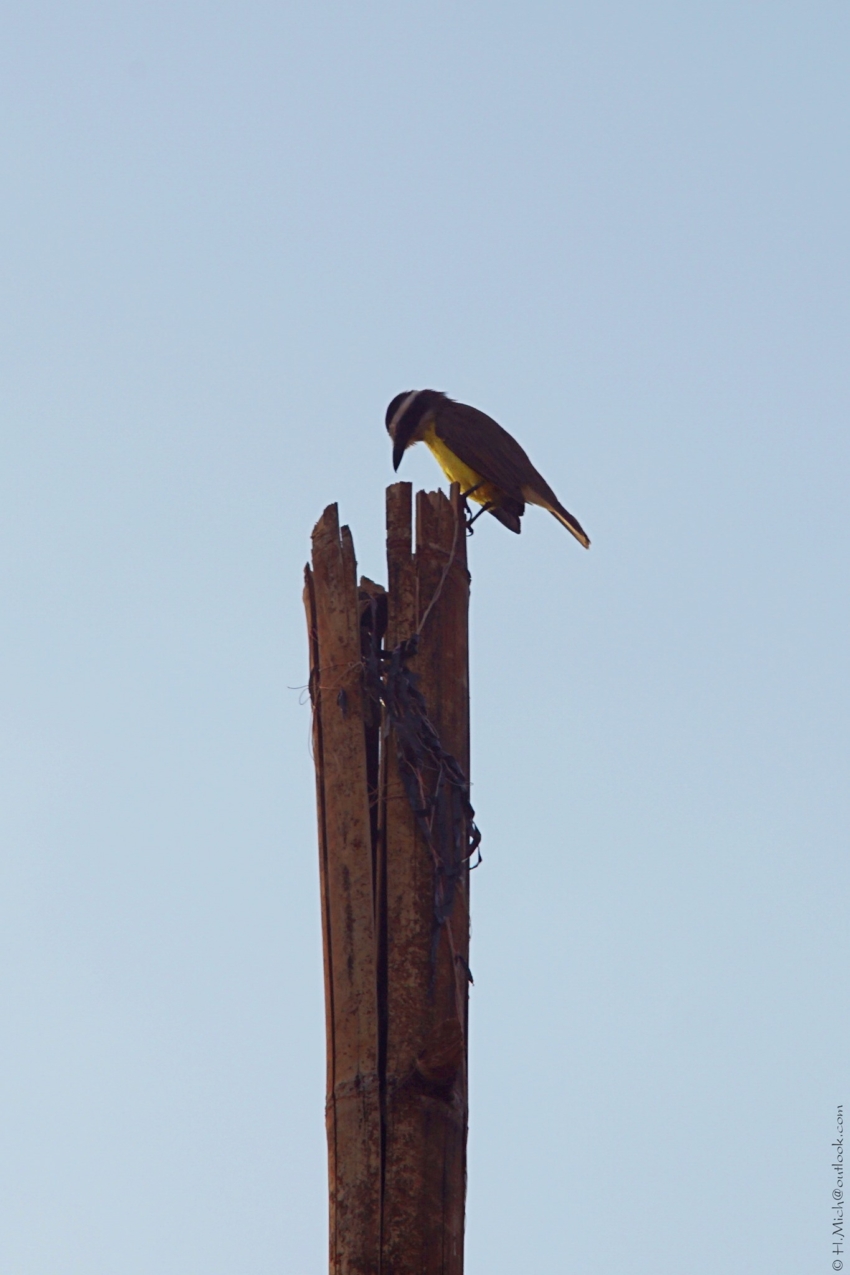 Studio-One.Art.br Repo Fotografia em Rio Preto SP/Brasil