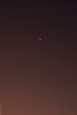 2022 06 15(74)