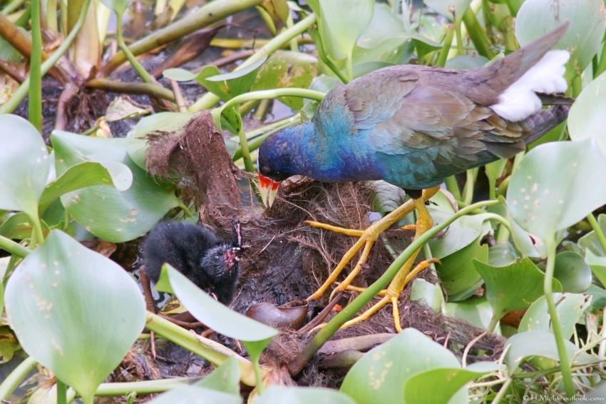 Studio-One.Art.br Repo Fotografia em Rio Preto SP/Brasil