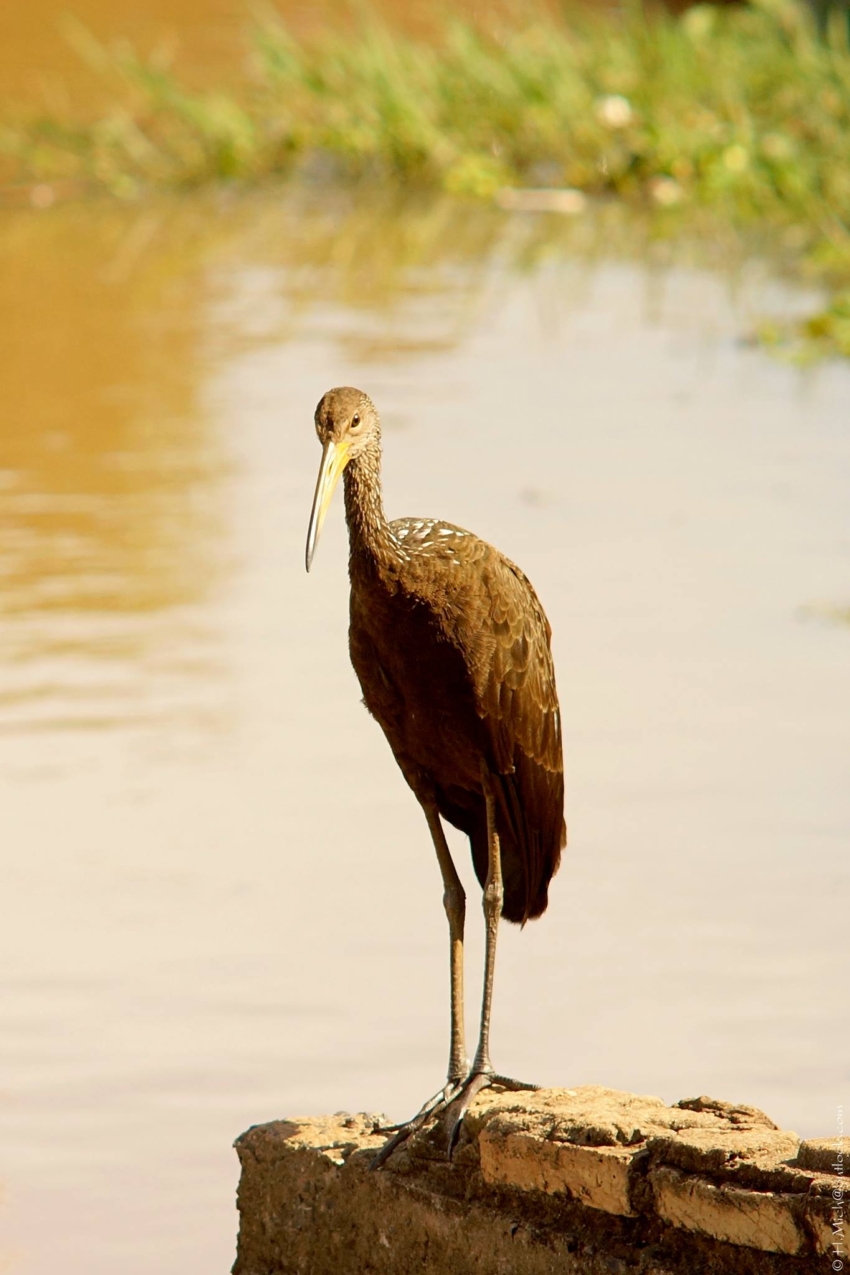 Studio-One.Art.br Repo Fotografia em Rio Preto SP/Brasil