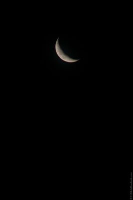 2022 06 15(76)