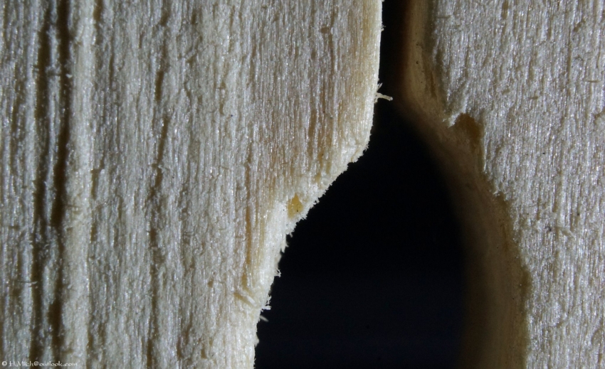 Studio-One.Art.br Repo Fotografia em Rio Preto SP/Brasil