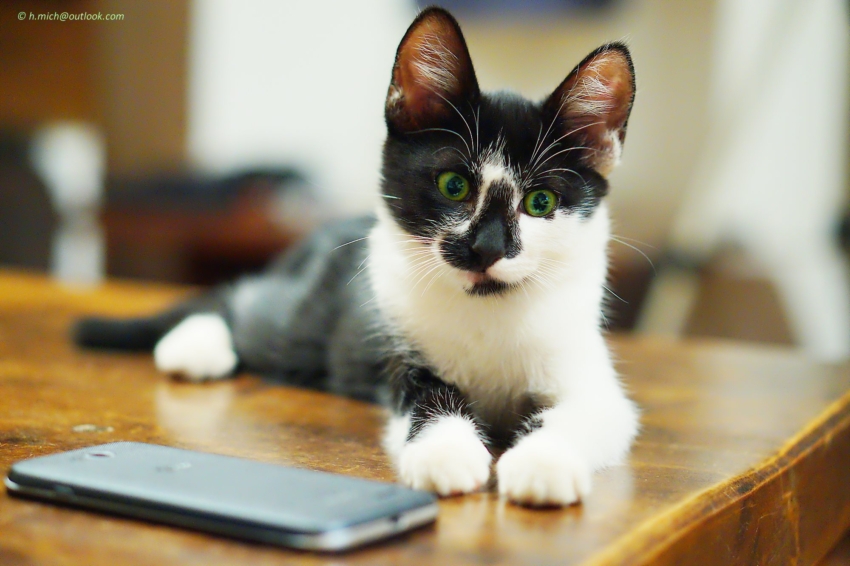 Studio-One.Art.br Repo Fotografia em Rio Preto SP/Brasil