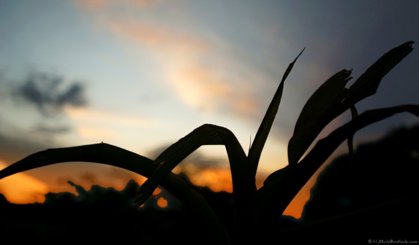 Studio-One.Art.br Repo Fotografia em Rio Preto SP/Brasil