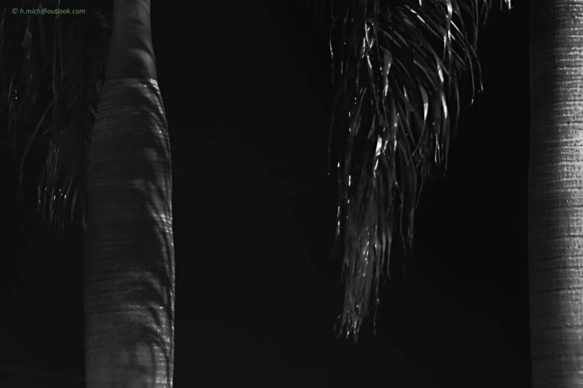 Studio-One.Art.br Repo Fotografia em Rio Preto SP/Brasil