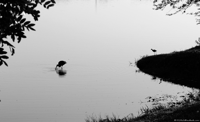 Studio-One.Art.br Repo Fotografia em Rio Preto SP/Brasil