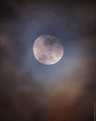 2022 06 15(78)