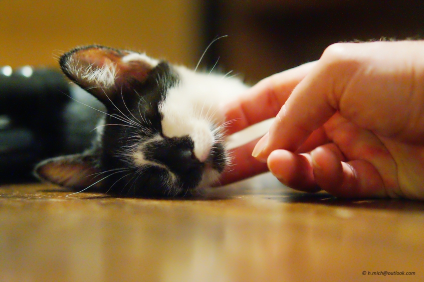 Studio-One.Art.br Repo Fotografia em Rio Preto SP/Brasil