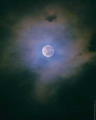 2022 06 15(79)