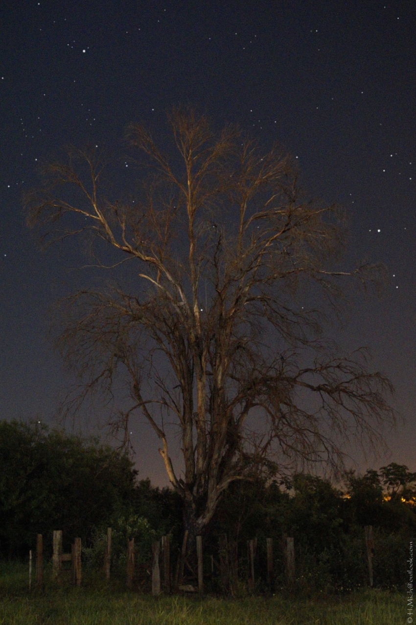 Studio-One.Art.br Repo Fotografia em Rio Preto SP/Brasil