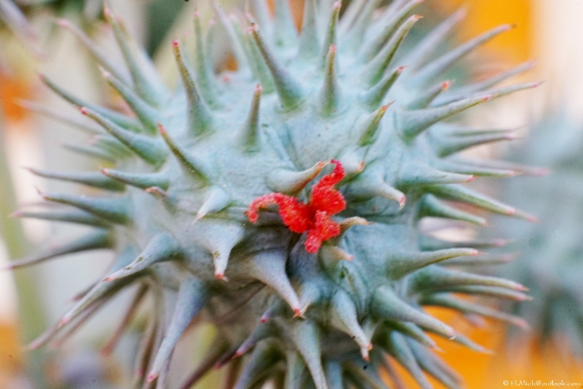 Studio-One.Art.br Repo Fotografia em Rio Preto SP/Brasil