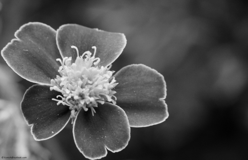 Studio-One.Art.br Repo Fotografia em Rio Preto SP/Brasil