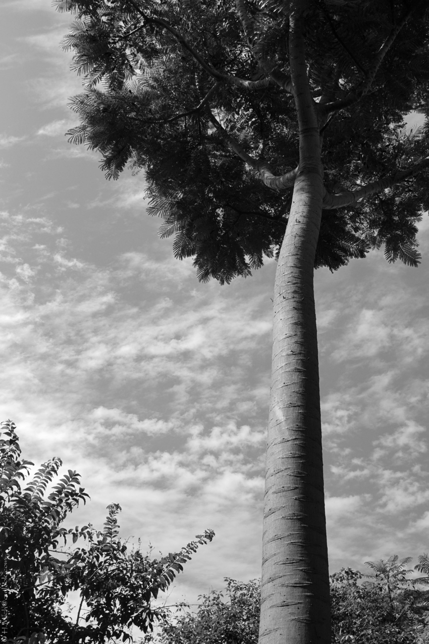 Studio-One.Art.br Repo Fotografia em Rio Preto SP/Brasil