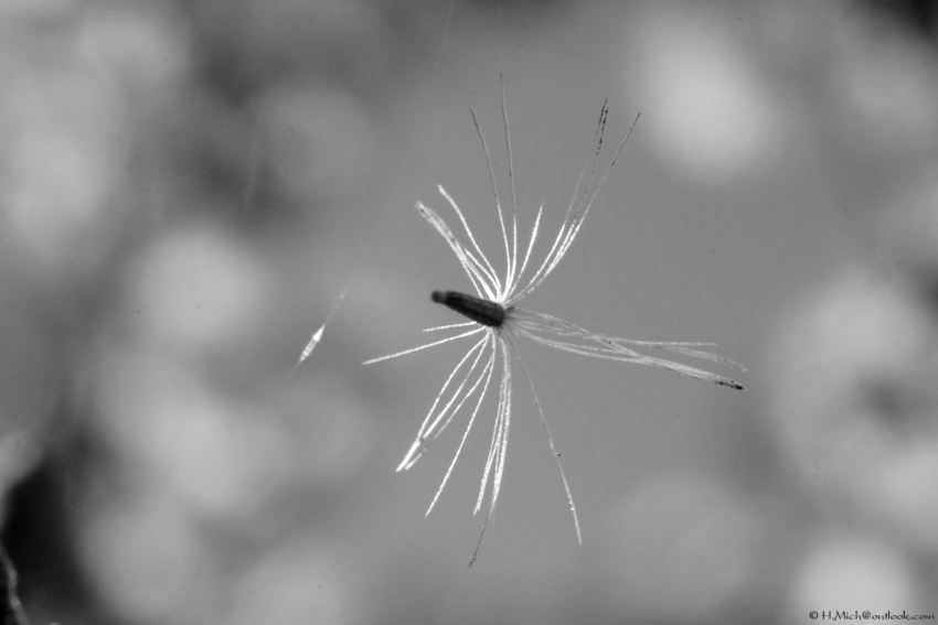 Studio-One.Art.br Repo Fotografia em Rio Preto SP/Brasil