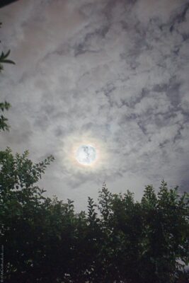 2022 06 15(81)