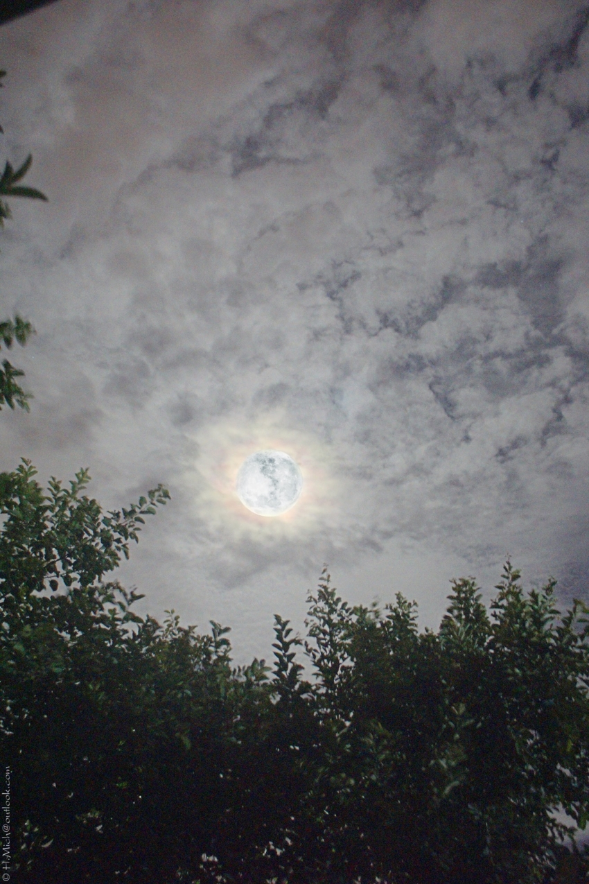 Studio-One.Art.br Repo Fotografia em Rio Preto SP/Brasil