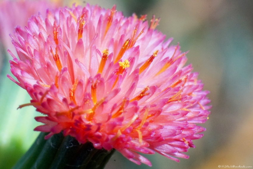 Studio-One.Art.br Repo Fotografia em Rio Preto SP/Brasil