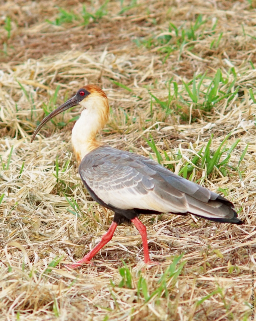 Studio-One.Art.br Repo Fotografia em Rio Preto SP/Brasil