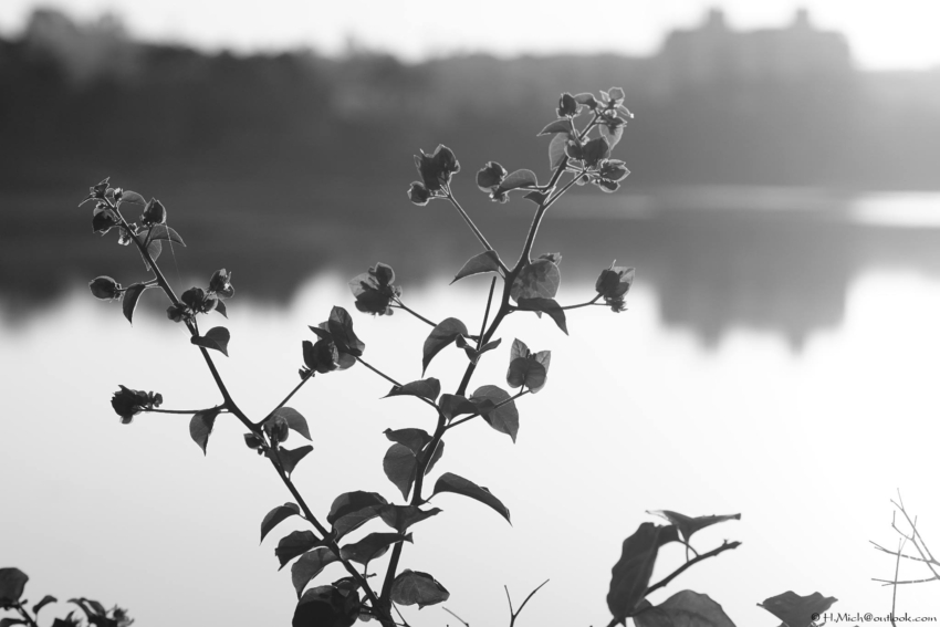 Studio-One.Art.br Repo Fotografia em Rio Preto SP/Brasil