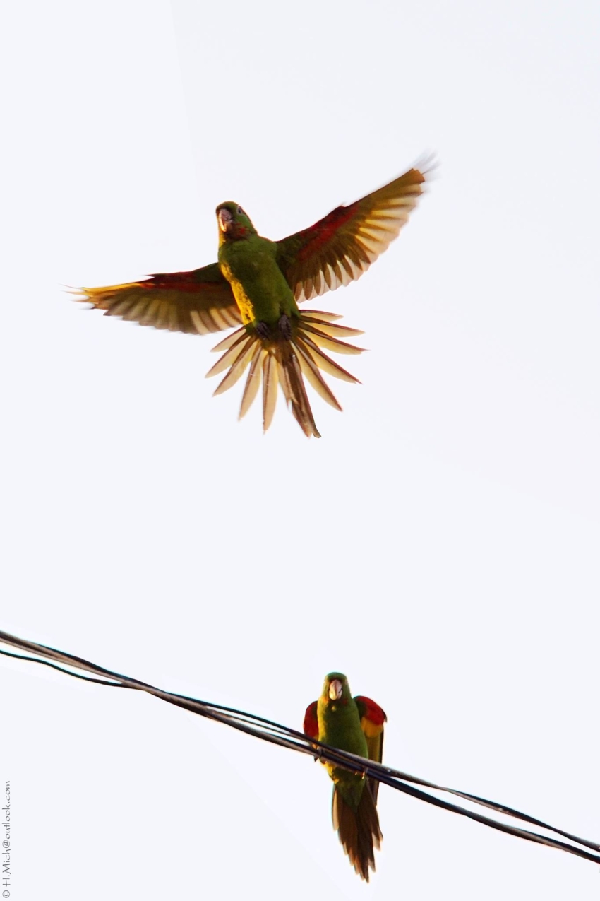 Studio-One.Art.br Repo Fotografia em Rio Preto SP/Brasil