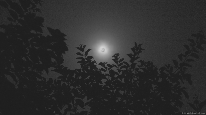 Studio-One.Art.br Repo Fotografia em Rio Preto SP/Brasil