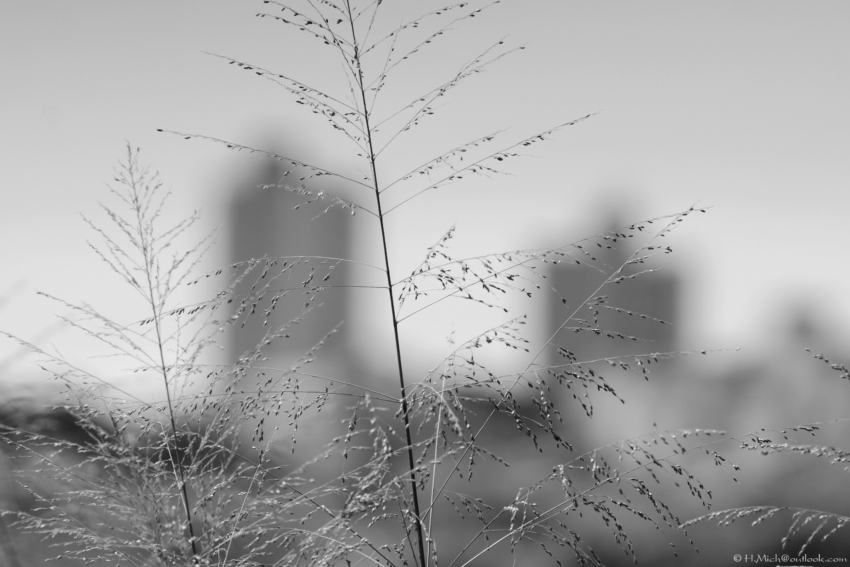 Studio-One.Art.br Repo Fotografia em Rio Preto SP/Brasil