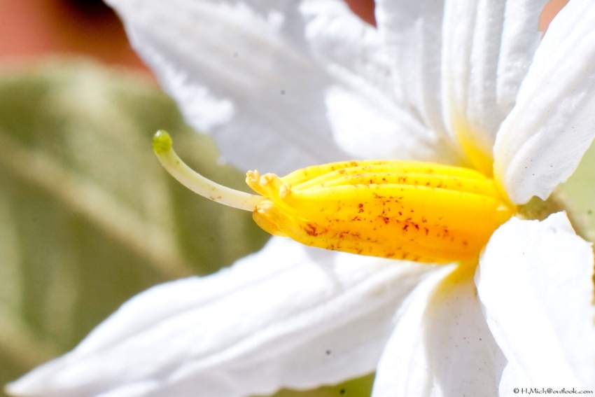 Studio-One.Art.br Repo Fotografia em Rio Preto SP/Brasil