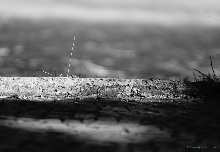 Studio-One.Art.br Repo Fotografia em Rio Preto SP/Brasil