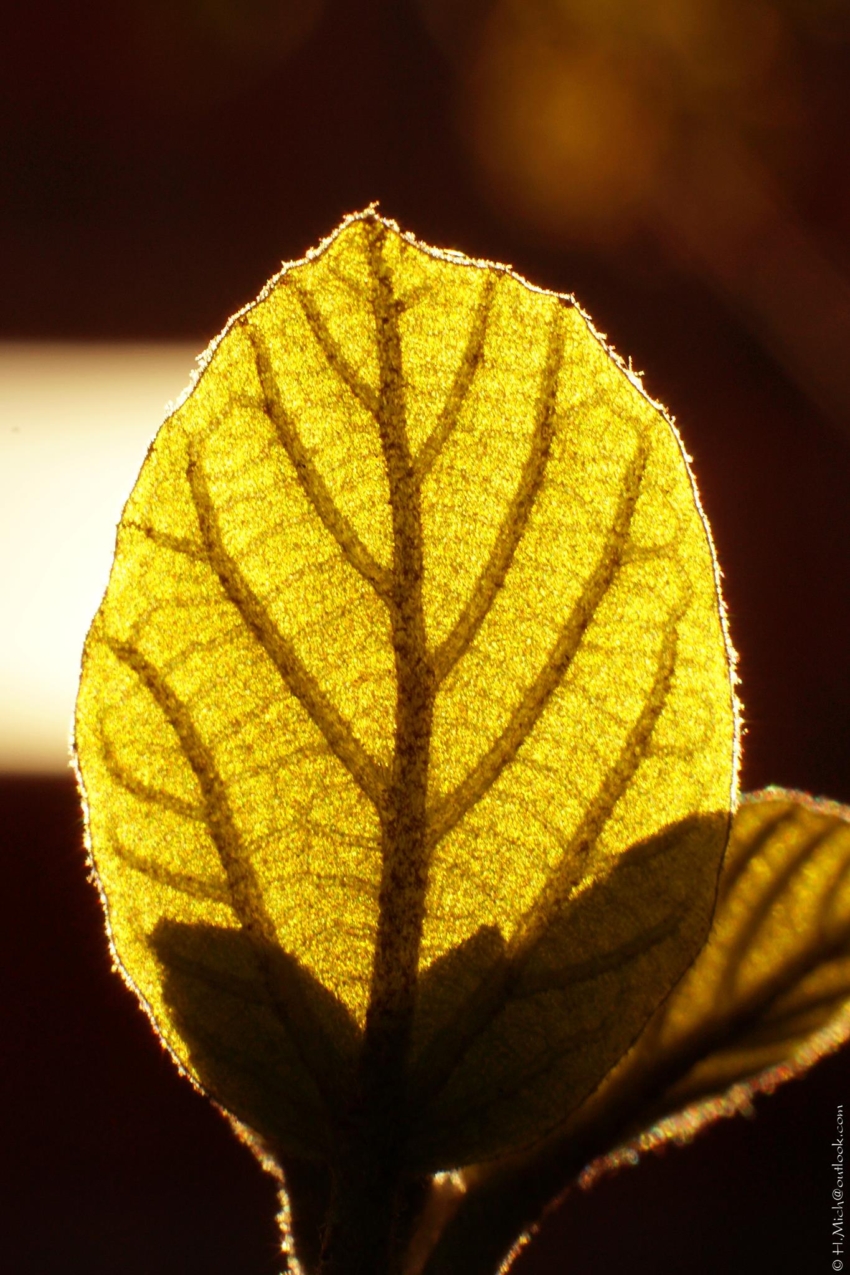 Studio-One.Art.br Repo Fotografia em Rio Preto SP/Brasil