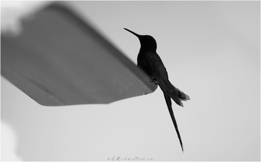 Studio-One.Art.br Repo Fotografia em Rio Preto SP/Brasil