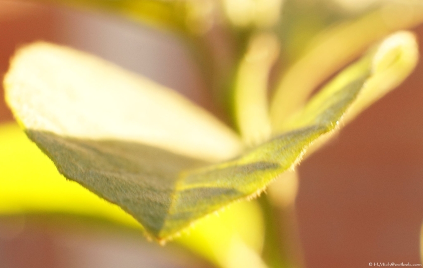 Studio-One.Art.br Repo Fotografia em Rio Preto SP/Brasil