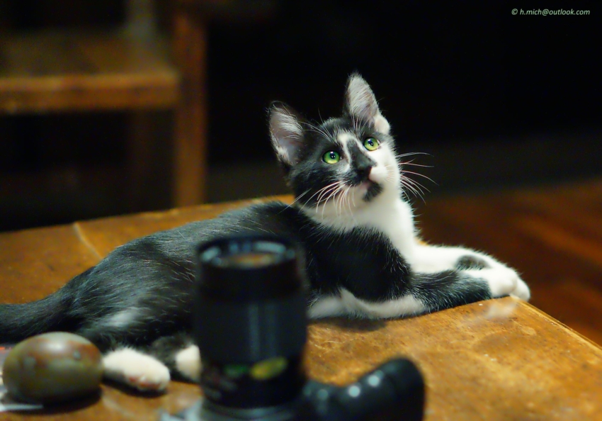 Studio-One.Art.br Repo Fotografia em Rio Preto SP/Brasil