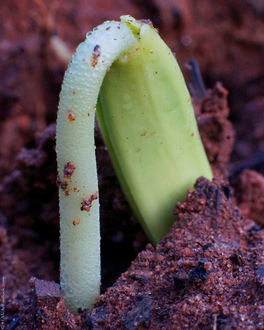 Studio-One.Art.br Repo Fotografia em Rio Preto SP/Brasil