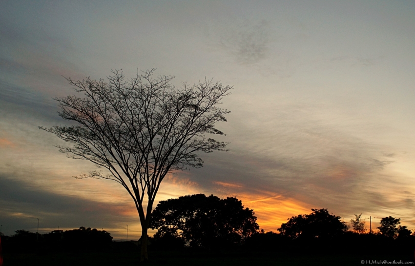 Studio-One.Art.br Repo Fotografia em Rio Preto SP/Brasil