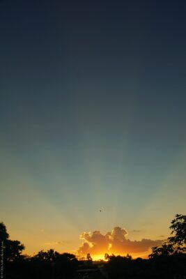 2022 06 15(86)