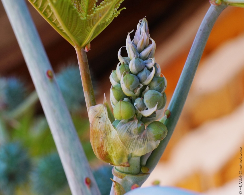 Studio-One.Art.br Repo Fotografia em Rio Preto SP/Brasil
