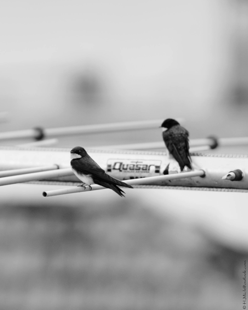 Studio-One.Art.br Repo Fotografia em Rio Preto SP/Brasil